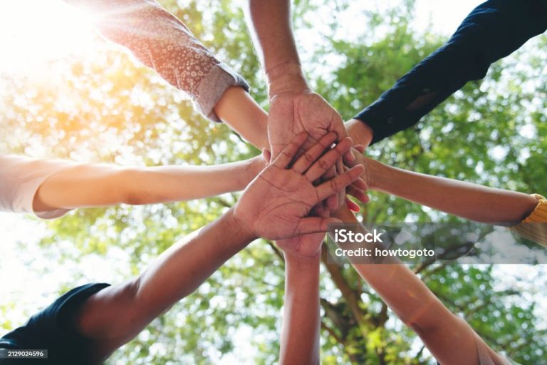 Engagement pour l’environnement d’un spécialiste de l’industrie du bois