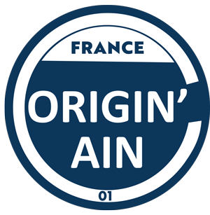 originain-bleu-vecto